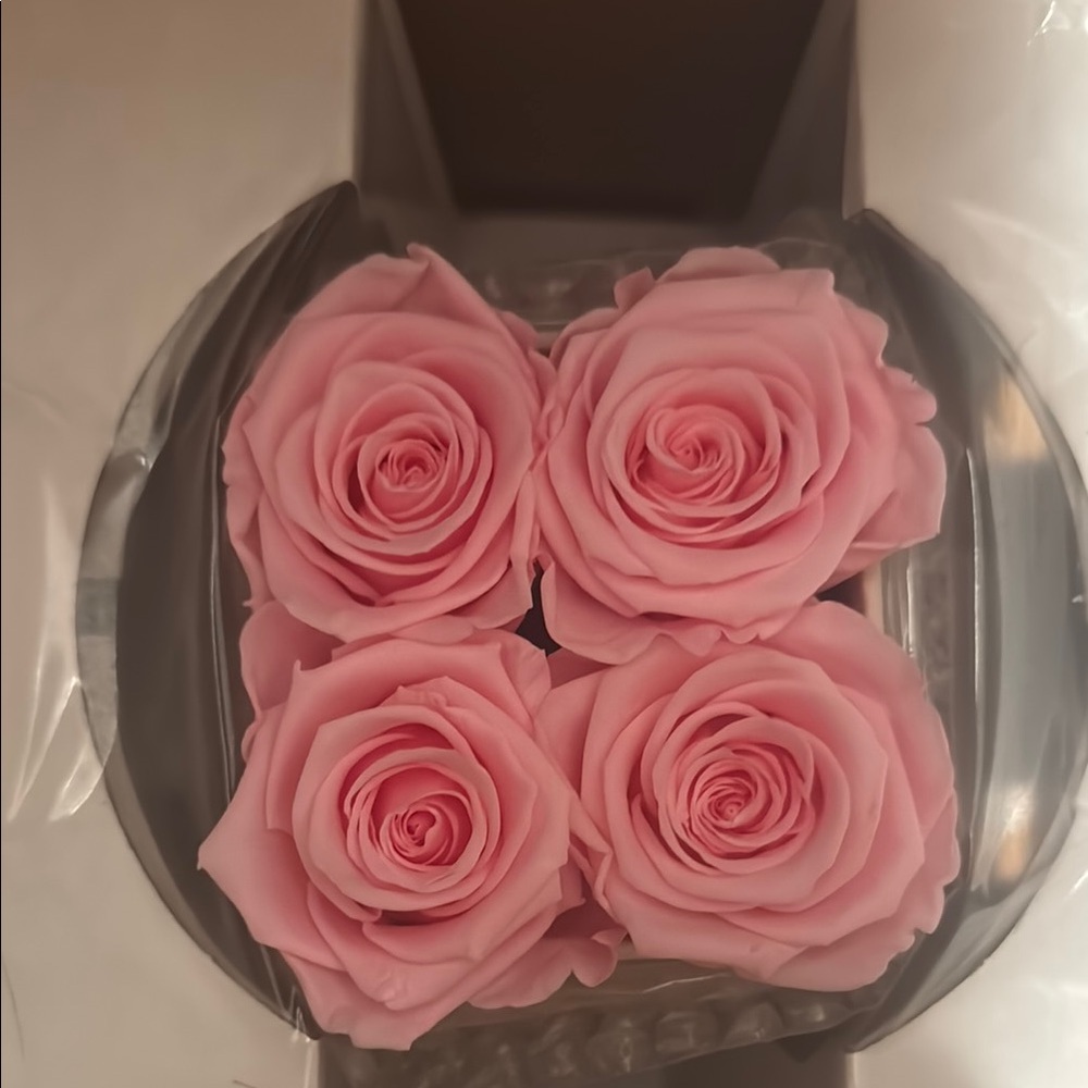 Venus et fleur rose box